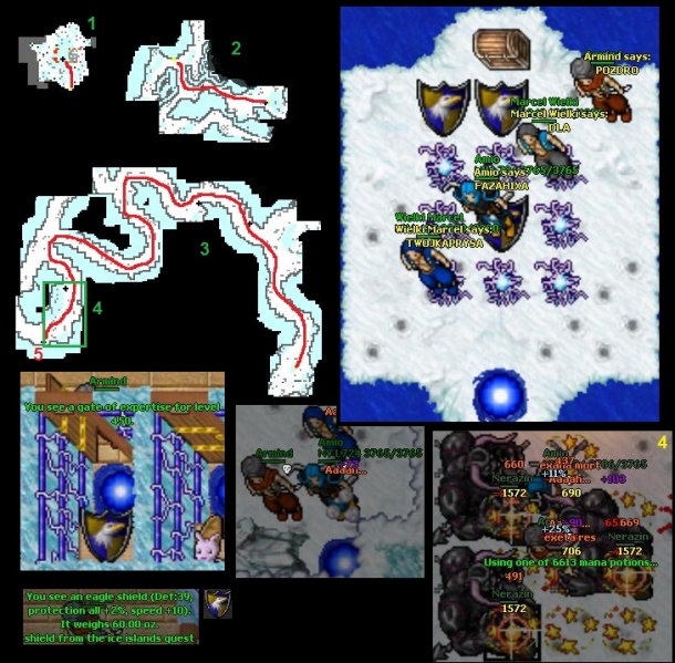 Plik:Eagle.jpg