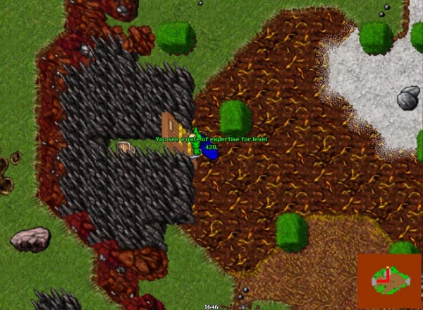 GuardianBoots3.JPG